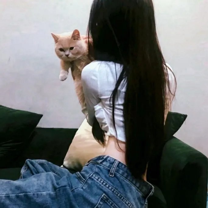 爱在猫咪疗愈时